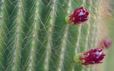 Meine Spuren im WWW …