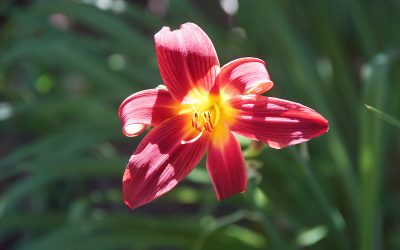 Tipps, Tricks und Beispiele